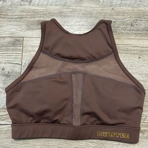 The Chestee Sports Bra